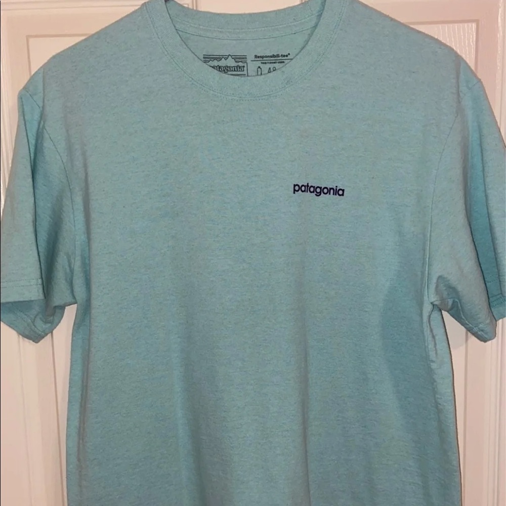 Patagonia T-Shirt